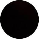 sera pisani profile picture