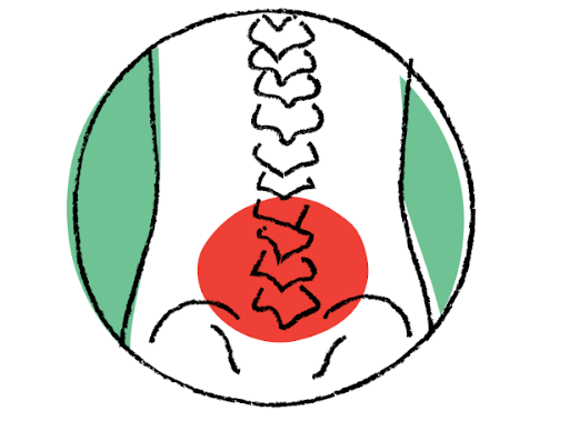 a cartoon of a spine with a red circle around the bottom 5 bones